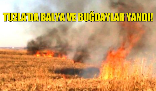 TUZLA’DA BALYA VE BUĞDAYLAR YANDI!