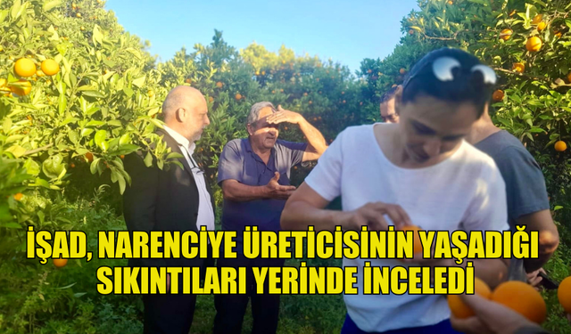 İŞAD, NARENCİYE ÜRETİCİSİNİN YAŞADIĞI  SIKINTILARI YERİNDE İNCELEDİ