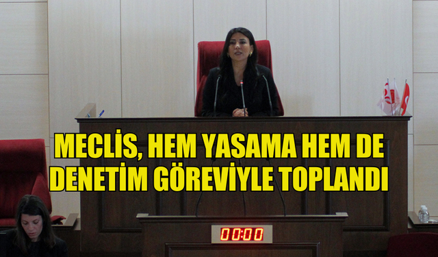 CUMHURİYET MECLİSİ GENEL KURULU HEM YASAMA HEM DE DENETİM GÖREVİYLE TOPLANDI