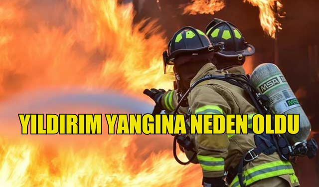 51 DÖNÜMLÜK ARAZİDEKİ BİÇİLMEMİŞ EKİN YANDI