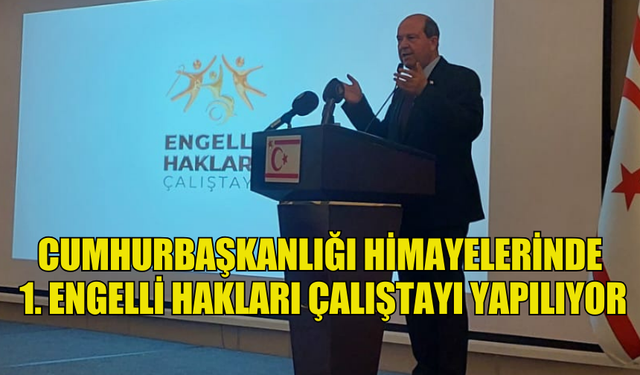 CUMHURBAŞKANLIĞI HİMAYELERİNDE 1. ENGELLİ HAKLARI ÇALIŞTAYI YAPILIYOR