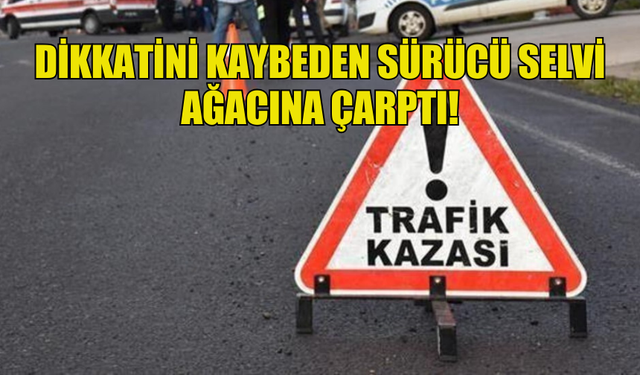 DİKKATİNİ KAYBEDEN SÜRÜCÜ SELVİ AĞACINA ÇARPTI!