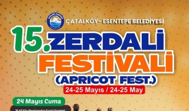 GELENEKSEL 15. ZERDALİ FESTİVALİ CUMA VE CUMARTESİ GÜNLERİ YAPILACAK