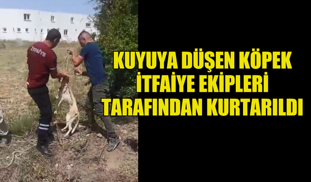 KUYUYA DÜŞEN KÖPEK İTFAİYE EKİPLERİ TARAFINDAN KURTARILDI