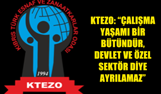 KTEZO: “ÇALIŞMA YAŞAMI BİR BÜTÜNDÜR, DEVLET VE ÖZEL SEKTÖR DİYE AYRILAMAZ”