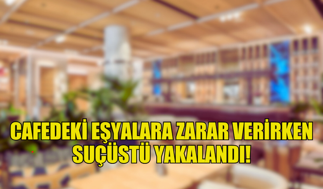 CAFEDEKİ EŞYALARA ZARAR VERİRKEN SUÇÜSTÜ YAKALANDI!