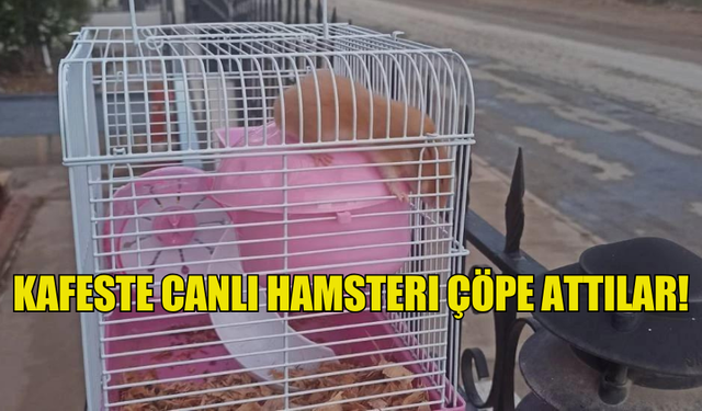 KAFESTE CANLI HAMSTERI ÇÖPE ATTILAR!