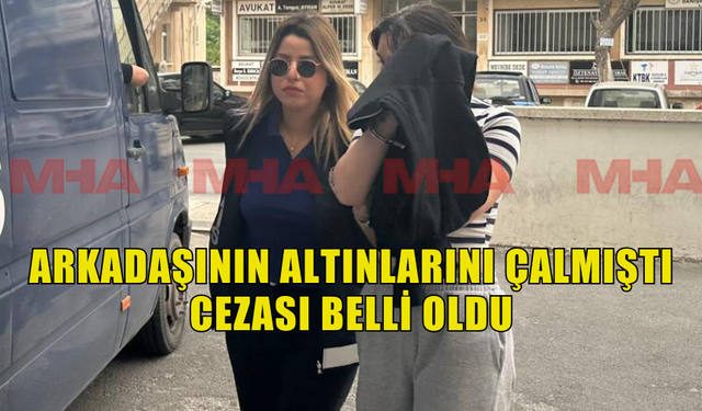 EV ARKADAŞININ ALTINLARINI ÇALAN ŞAHIS TEMİNATA BAĞLANDI