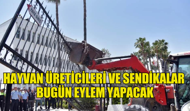 HAYVAN ÜRETİCİLERİ VE SENDİKALAR  BUGÜN EYLEM YAPACAK