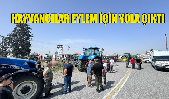 HAYVANCILAR EYLEM İÇİN YOLA ÇIKTI