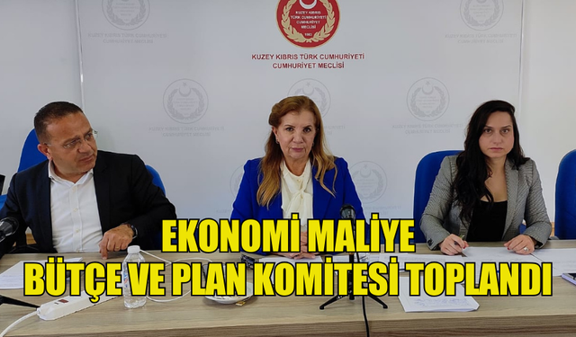 EKONOMİ MALİYE BÜTÇE VE PLAN KOMİTESİ TOPLANDI