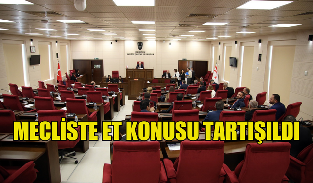 MECLİSTE ET KONUSU TARTIŞILDI