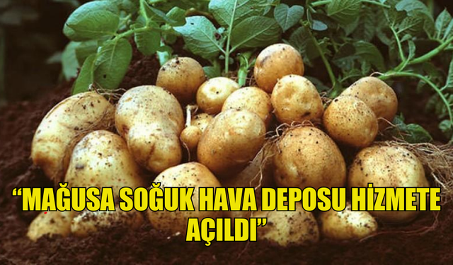 TÜK’TEN PATATES ÜRETİCİLERİNE DUYURU: “MAĞUSA SOĞUK HAVA DEPOSU HİZMETE AÇILDI”