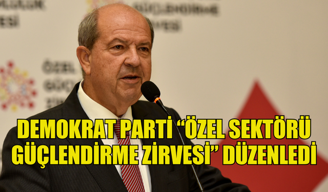 DEMOKRAT PARTİ “ÖZEL SEKTÖRÜ GÜÇLENDİRME ZİRVESİ” DÜZENLEDİ