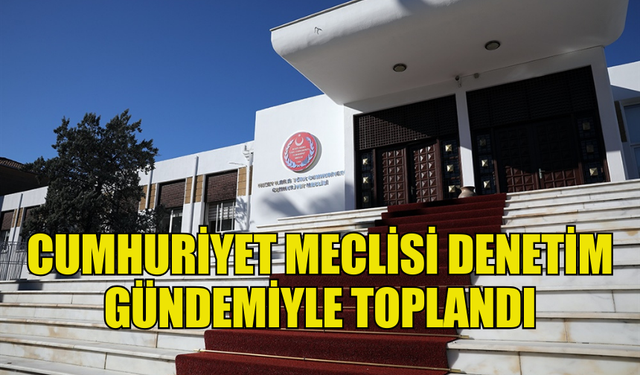 CUMHURİYET MECLİSİ DENETİM GÜNDEMİYLE TOPLANDI