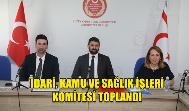 İDARİ, KAMU VE SAĞLIK İŞLERİ KOMİTESİ TOPLANDI