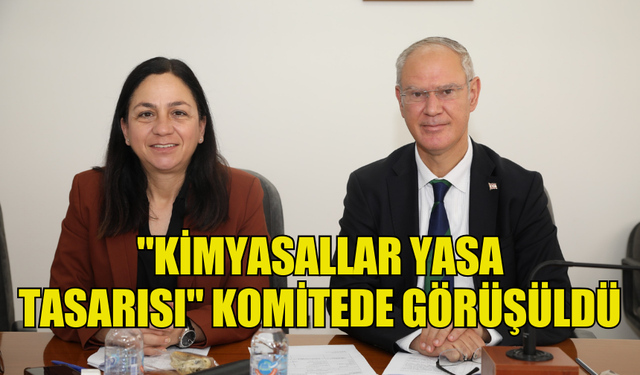 "KİMYASALLAR YASA TASARISI" KOMİTEDE GÖRÜŞÜLDÜ