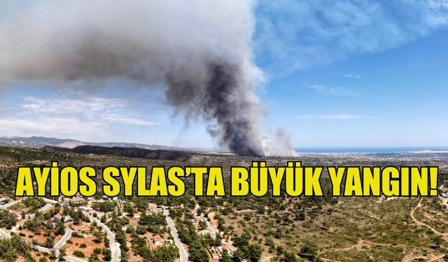 AYİOS SYLAS’TA BÜYÜK YANGIN!