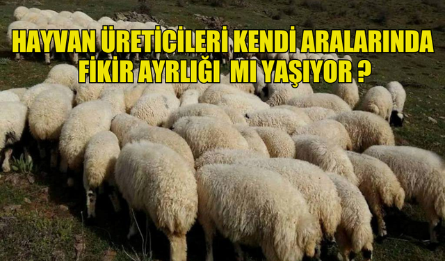 HAYVAN ÜRETİCİLERİ KENDİ ARALARINDA  FİKİR AYRLIĞI  MI YAŞIYOR ?