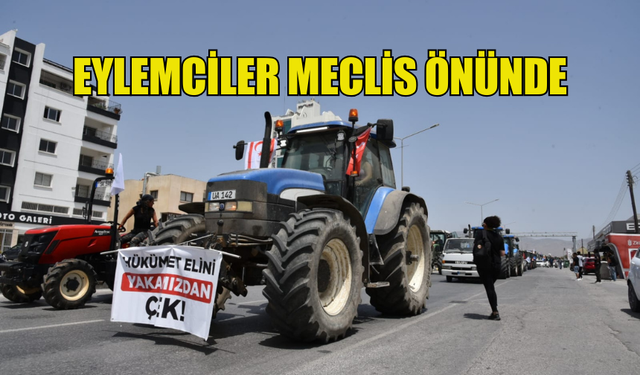 EYLEMCİLER MECLİS ÖNÜNDE