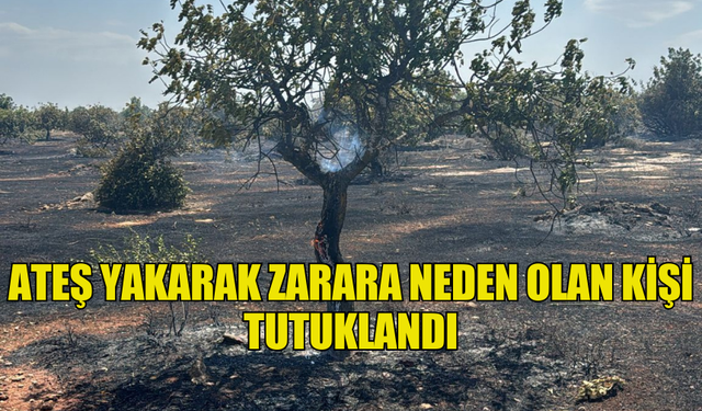 ATEŞ YAKARAK ZARARA NEDEN OLAN KİŞİ TUTUKLANDI