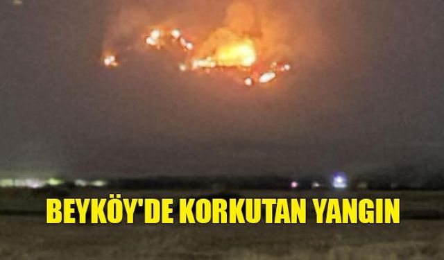 BEYKÖY'DE KORKUTAN YANGIN