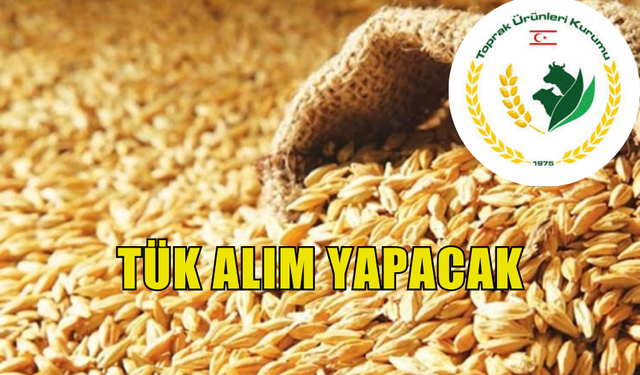 TÜK, ARPA, YUMUŞAK BUĞDAY VE SERT BUĞDAY ALIMI YAPILACAĞINI DUYURDU