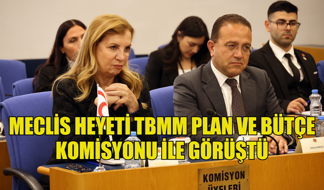 MECLİS HEYETİ TBMM PLAN VE BÜTÇE KOMİSYONU İLE GÖRÜŞTÜ