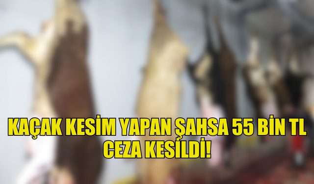 KAÇAK KESİM YAPAN ŞAHSA 55 BİN TL CEZA KESİLDİ!