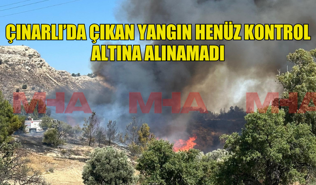 ÇINARLI’DA ÇIKAN YANGIN HENÜZ KONTROL ALTINA ALINAMADI