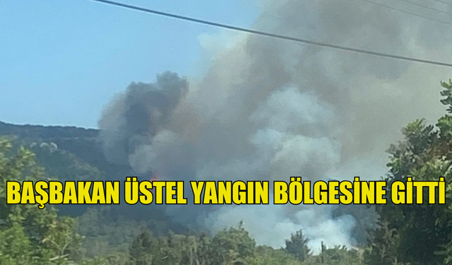 BAŞBAKAN ÜSTEL YANGIN BÖLGESİNE GİTTİ