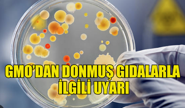 GMO’DAN DONMUŞ GIDALARLA İLGİLİ UYARI