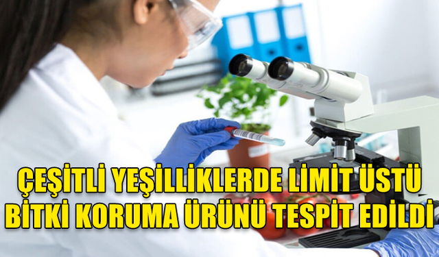 YERLİ DOMATES, ÇARLİ BİBER VE DOLMALIK BİBER İLE İTHAL ÇARLİ BİBER VE GOLDEN ELMADA LİMİT ÜSTÜ BİTKİ KORUMA ÜRÜNÜ...