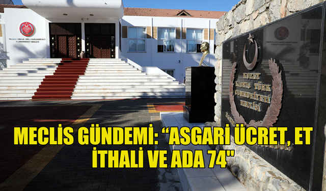 MECLİS GÜNDEMİ: “ASGARİ ÜCRET, ET İTHALİ VE ADA 74"