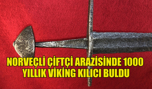 NORVEÇLİ ÇİFTÇİ ARAZİSİNDE 1000 YILLIK VİKİNG KILICI BULDU