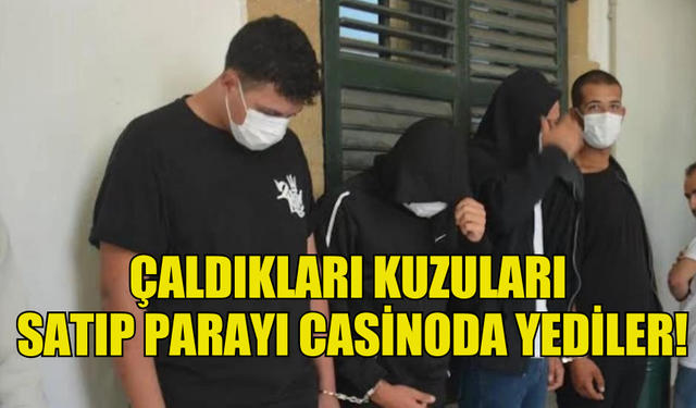 ÇALDIKLARI KUZULARI  SATIP PARAYI CASİNODA YEDİLER!