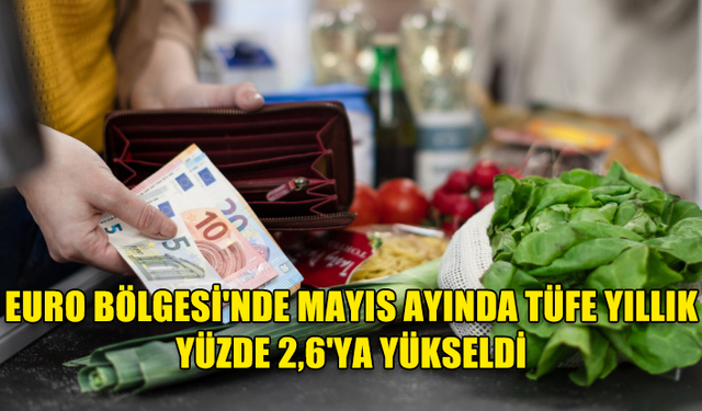 EURO BÖLGESİ'NDE YILLIK ENFLASYON MAYISTA BEKLENTİLER DOĞRULTUSUNDA YÜZDE 2,6 OLDU