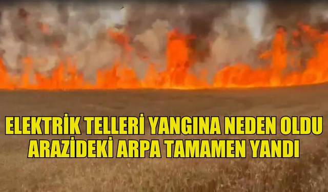 ELEKTRİK TELLERİ YANGINA NEDEN OLDU ARAZİDEKİ ARPA TAMAMEN YANDI