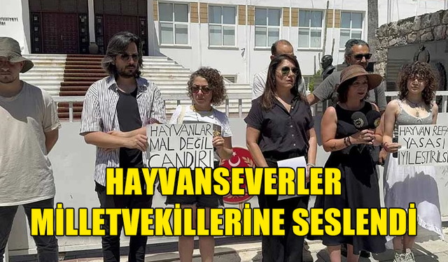 HAYVANSEVERLER, MİLLETVEKİLLERİNE SESLENDİ VE HAYVANLARLA İLGİLİ YASALARIN İYİLEŞTİRİLMESİNİ TALEP ETTİ