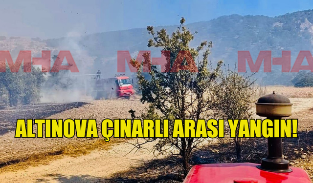 ALTINOVA ÇINARLI ARASI YANGIN