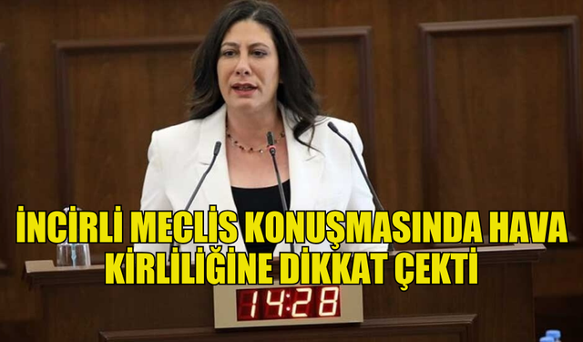 İNCİRLİ MECLİS KONUŞMASINDA HAVA KİRLİLİĞİNE DİKKAT ÇEKTİ