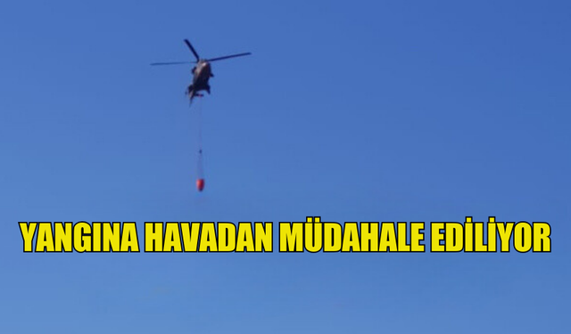 MERSİNLİK'TE YANGINA HAVADAN MÜDAHALE EDİLİYOR