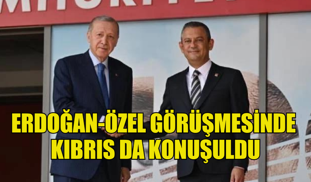 ERDOĞAN-ÖZEL GÖRÜŞMESİNDE KIBRIS DA KONUŞULDU