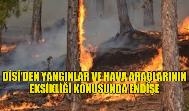 DİSİ'DEN YANGINLAR VE HAVA ARAÇLARININ EKSİKLİĞİ KONUSUNDA ENDİŞE