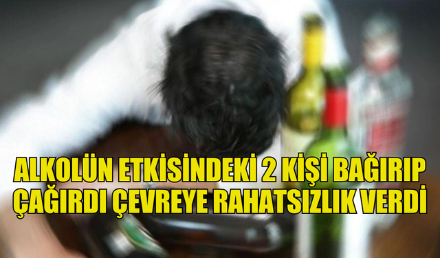 ALKOLÜN ETKİSİNDEKİ 2 KİŞİ BAĞIRIP ÇAĞIRDI ÇEVREYE RAHATSIZLIK VERDİ