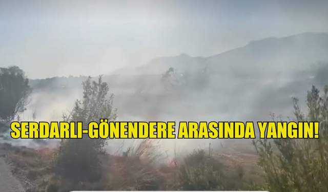 SERDARLI-GÖNENDERE ARASINDA YANGIN