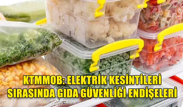 KTMMOB'DEN AÇIKLAMA: ELEKTRİK KESİNTİLERİ SIRASINDA GIDA GÜVENLİĞİ ENDİŞELERİ