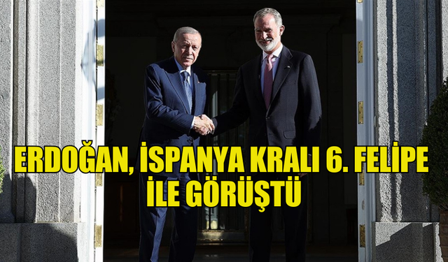 ERDOĞAN, İSPANYA KRALI 6. FELİPE İLE GÖRÜŞTÜ