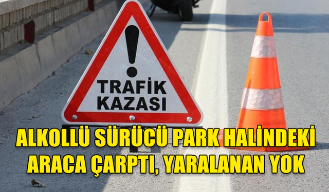 ALKOLLÜ SÜRÜCÜ PARK HALİNDEKİ ARACA ÇARPTI, YARALANAN YOK