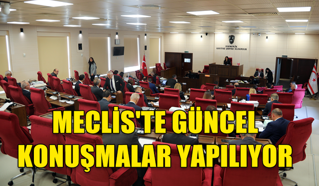 MECLİS'TE GÜNCEL KONUŞMALAR YAPILIYOR